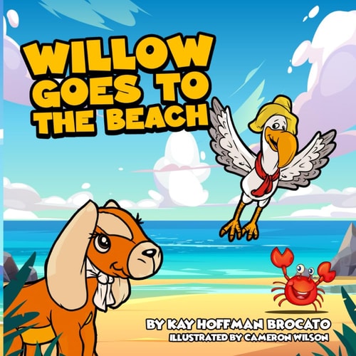 Willow Goes to the Beach