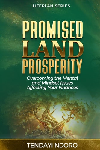 Promised Land Prosperity Overcoming the Mental and Mindset Issues Affecting Your Finances