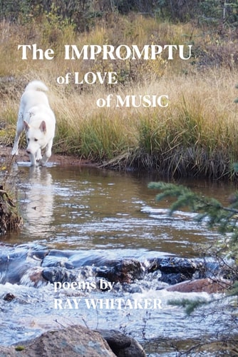 The Impromptu Of Love of Music