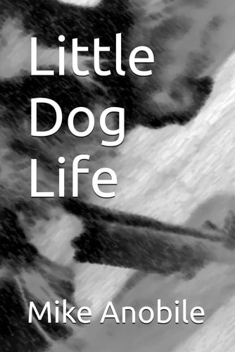 Little Dog Life