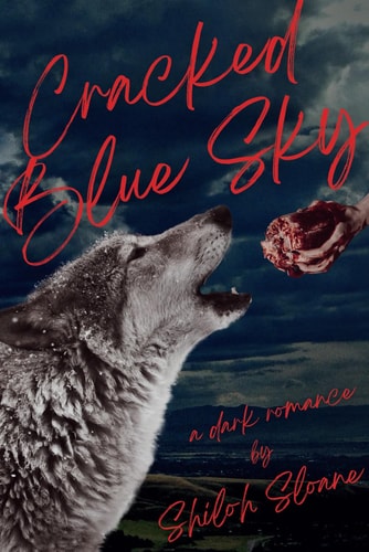 Cracked Blue Sky A Dark Werewolf Romantic Suspense