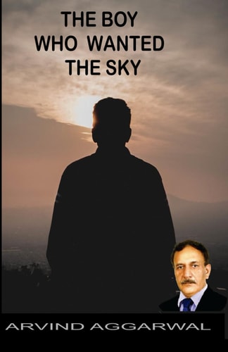 The Boy Who Wanted the Sky