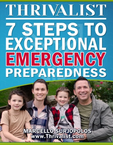 Thrivalist 7 Steps to Exceptional Emergency Preparedness