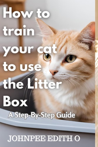 How to Train Your Cat to Use the Litter Box A Step-By-Step Guide