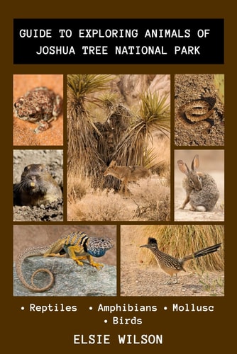 Guide to Exploring Animals of Joshua Tree National Park Joshua Tree Fauna Guide