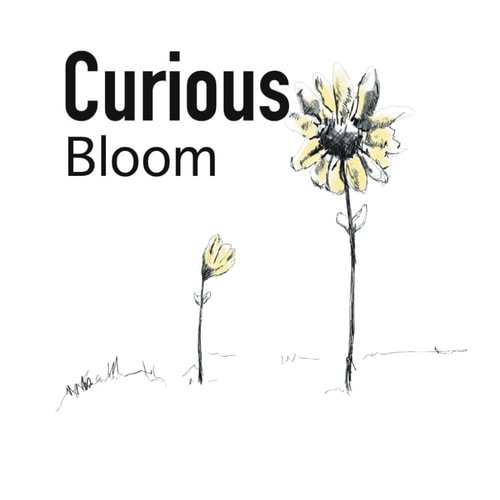 Curious Bloom From Wonder to Wisdom: A Small Flower's Journey Through Life