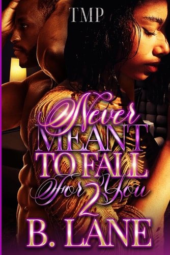 Never Meant to Fall for You 2