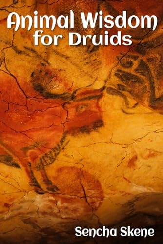 Animal Wisdom for Druids
