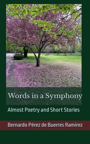 Words in a Symphony Almost Poetry and Short Stories