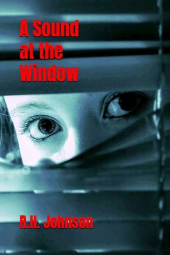 A Sound at the Window A Taut Psychological Thriller that Will Keep You Guessing