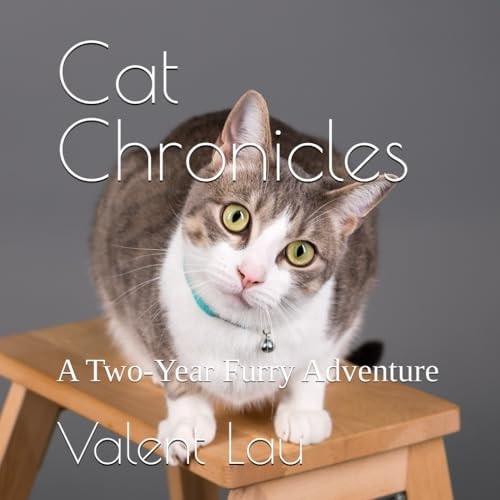 Cat Chronicles A Two-Year Furry Adventure