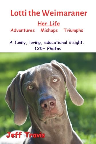 LOTTI THE WEIMARANER Her Life Adventures Mishaps Triumphs Lotti's Life - A Funny, Loving, Educational Insight