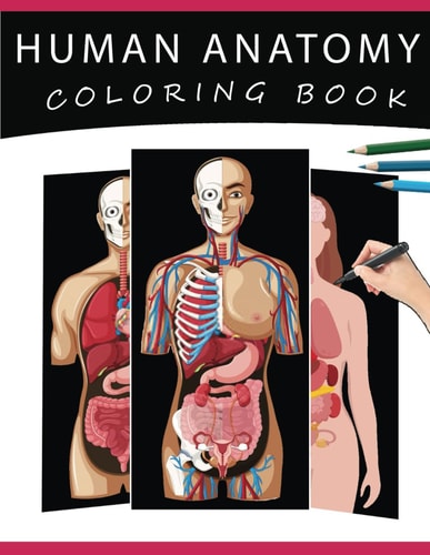 Human Anatomy Coloring Book The Ultimate Human Body Anatomy and Physiology Coloring with Labels, for Beginners, Adults, Medical Students, Nurses