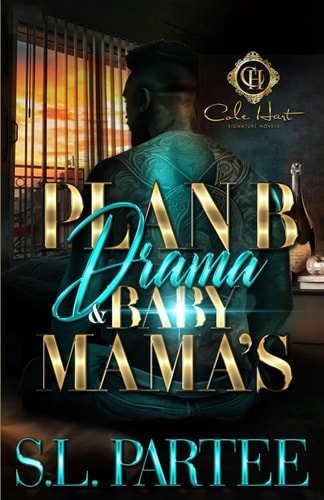 Plan B Drama & Baby Mama's An African American Romance