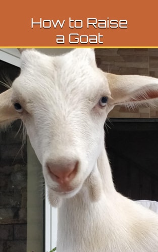 HOW TO RAISE A GOAT.