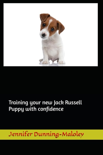 Training Your New Jack Russell Puppy with Confidence