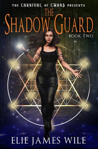 The Shadow Guard Carnival of Chaos #2