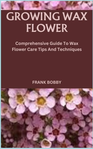 Growing Wax Flower Comprehensive Guide To Wax Flower Care Tips And Techniques