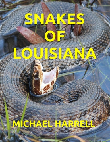 Snakes of Louisiana