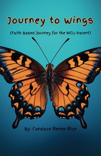 Journey to Wings A Faithful Story for the NICU Parent