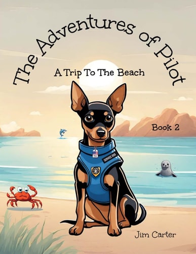 The Adventures of Pilot A Trip to the Beach