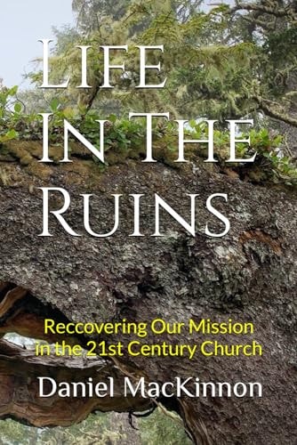 Life In The Ruins An Urban Missiology for the 21st Century Church