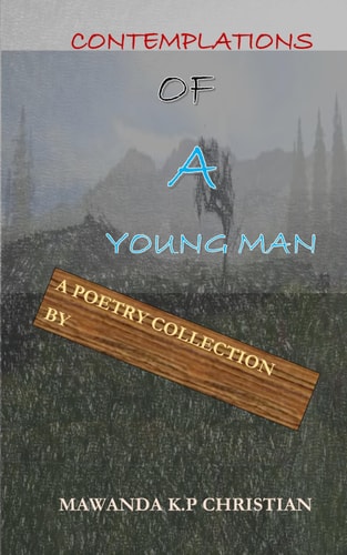 Contemplations of a Young Man