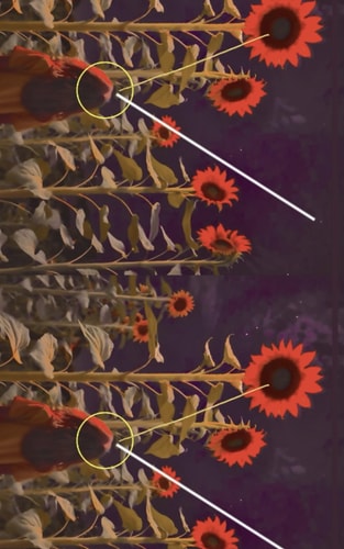 The Red Sunflowers