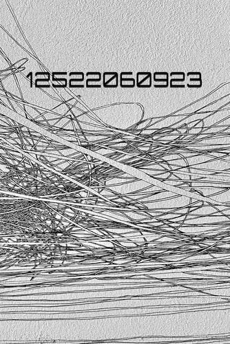 12522060923 String Theory