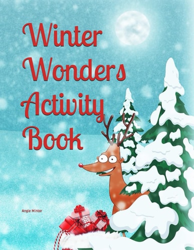Winter Wonders Activity Book