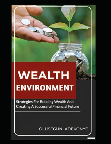 Wealth Environment Strategies for Building Wealth and Creating A Successful Financial Future