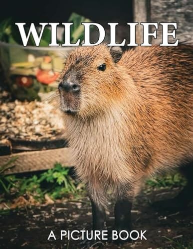 A Picture Book of Wildlife Colorful Pages for Alzheimer's Patients and Seniors with Dementia - Relaxation and Stress Relief