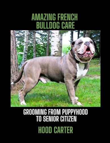 Amazing French Bulldog Care Grooming from Puppyhood to Senior Citizen