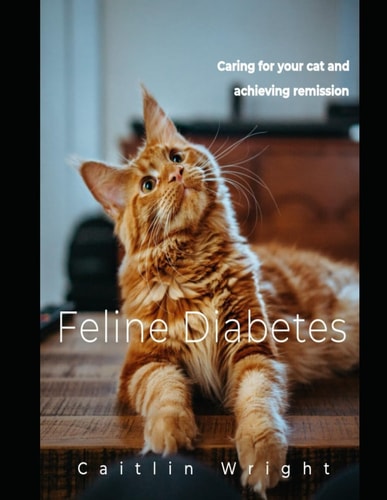 Feline Diabetes Caring For Your Cat and Achieving Remission