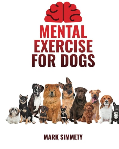Mental Exercise for Dogs Crafting Canine Playdates with Purpose Merges Social Dynamics, Safe Group Activities, and Urban Exploration Adventures