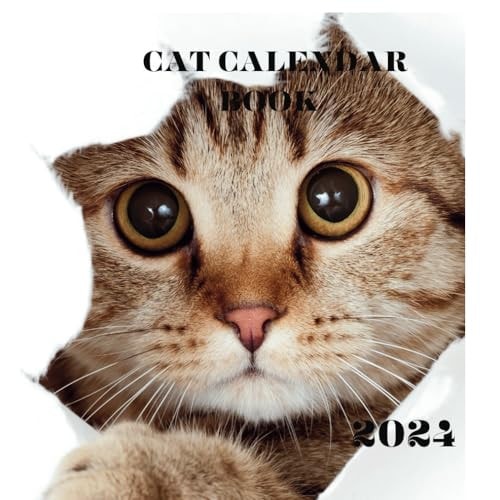 2024 Calendar Book Featuring Serene Cats in Cozy Moments 2024 Calendar Book
