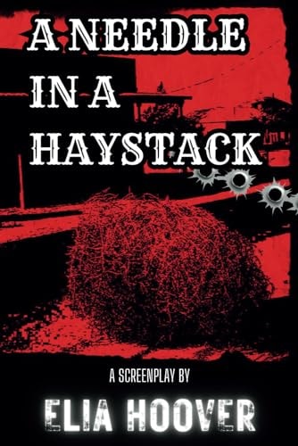 A Needle In A Haystack