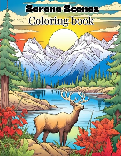 Serene Scenes Coloring Book
