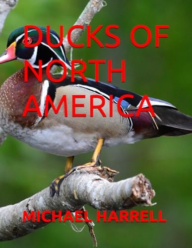 Ducks of North America