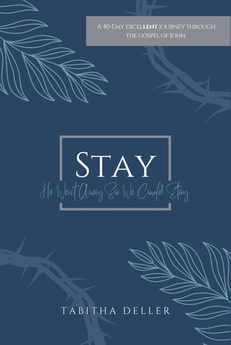 Stay He Went Away So We Could Stay