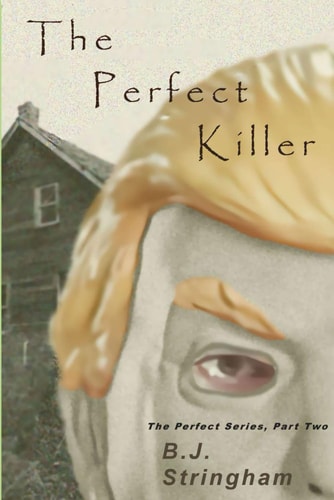 The Perfect Killer The Perfect Series, Part Two