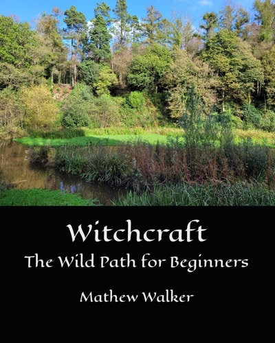 Witchcraft The Wild Path for Beginners