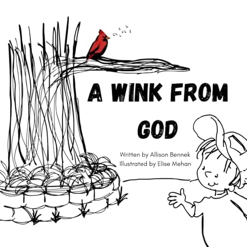A Wink from God