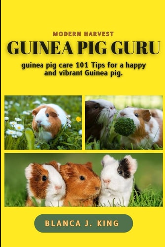 Guinea Pig Guru Guinea Pig Guru Care 101 Tips for a Happy and Vibrant Guinea Pig