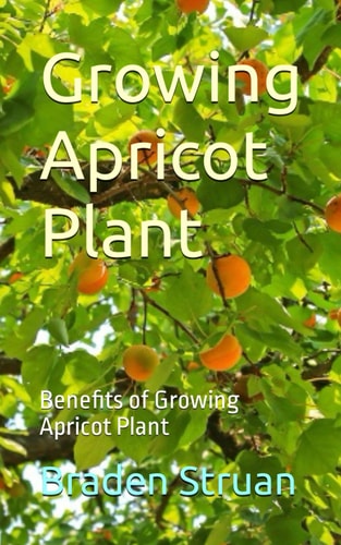 Growing Apricot Plant Benefits of Growing Apricot Plant
