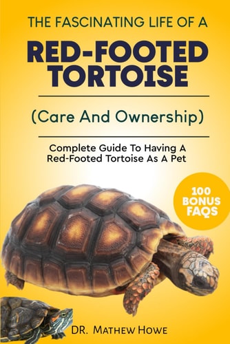 The Fascinating Life of a Red-Footed Tortoise Complete Guide To Having A Red-Footed Tortoise As A Pet( Care And Ownership)