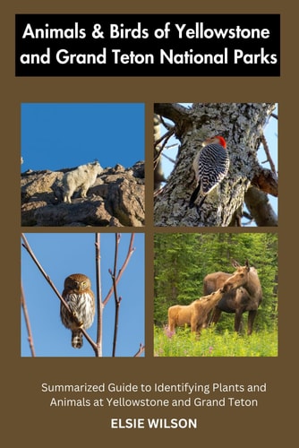 Animals and Birds of Yellowstone and Grand Teton National Parks Guide to Exploring Animals and Birds of Yellowstone and Grand Teton