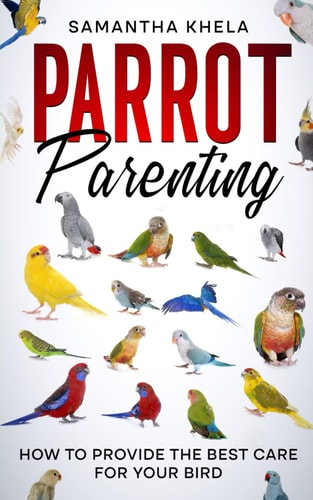 Parrot Parenting How to Provide the Best Care for Your Bird