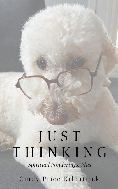 Just Thinking: Spiritual Ponderings, Plus