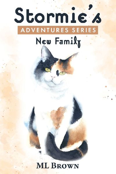 Stormies Adventures Series: New Family